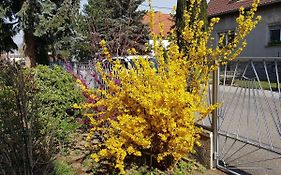 Garden Apartment Donau-City (P&R)
